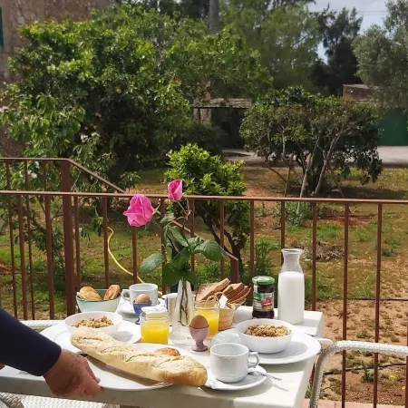 Agroturisme Son Barceló Mas