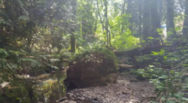Scott Creek Farm