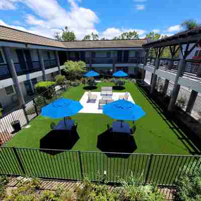 紅木溪旅館 Others