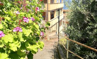 Ma&Mi Guest House