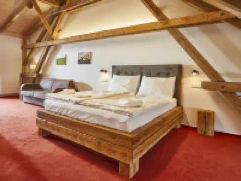 Hotel Ryzlink Hotels in Mikulov