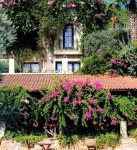 Zeytinada Hotel Hotels in Torba
