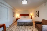 Newport Inn by OYO - Hwy 101 - parking