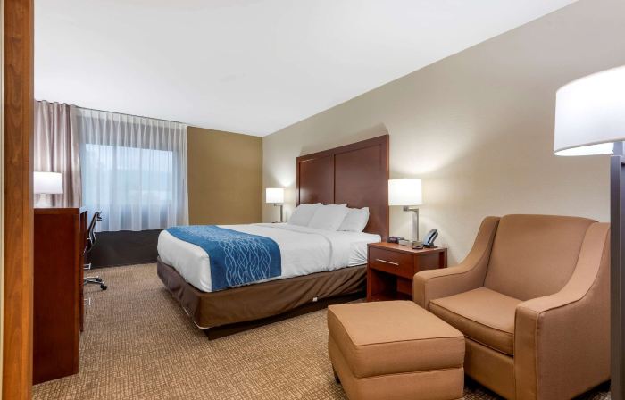 Comfort Inn Binghamton I-81