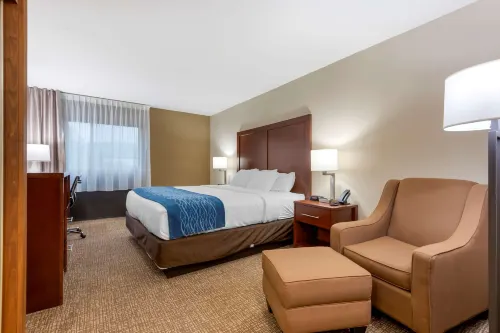 Comfort Inn Binghamton I-81 - Pools