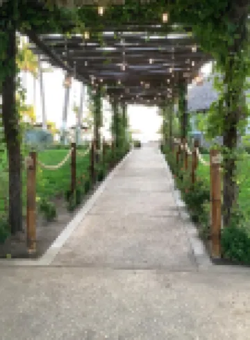 Hotel Arista Bugambilias