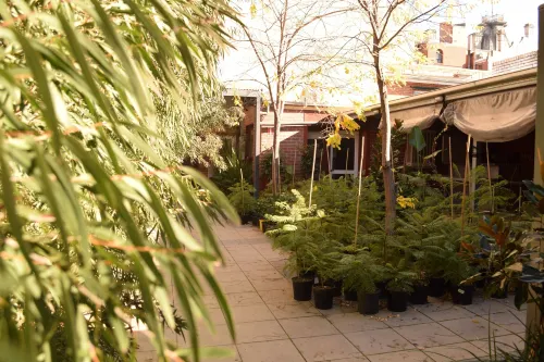 Crown CBD Motel - City Location