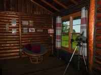Lakeside Cabin with Sunset View & Fireplace Hotels in Conneaut