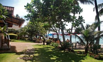 Palm Leaf Resort Koh Tao