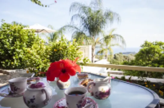 필로제니아 씨 앤드 뷰