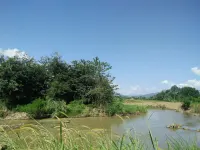 拜縣公園小屋