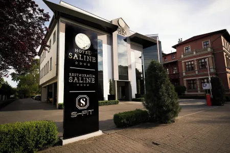 Hotel Saline Отели в г. Иновроцлав