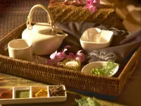 Westport Plaza Hotel, Spa & Leisure - spa