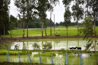 Backpackers Eco Village Hotels in Gosaba