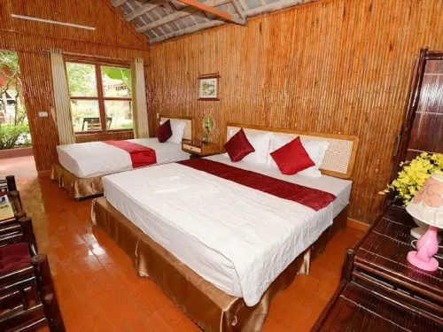 تام كوك جاردن  هومستاي