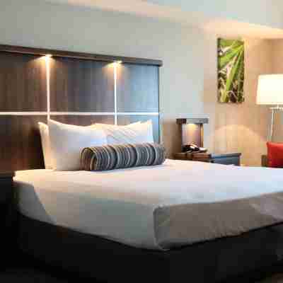 Avi Resort & Casino Rooms