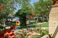 Fiore Beach Studios Hotels near Gerakas Beach
