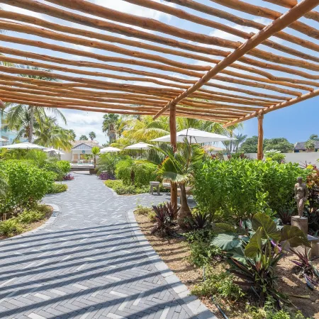 Dolphin Suites & Wellness Curacao