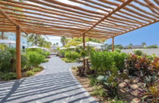 Dolphin Suites & Wellness Curacao