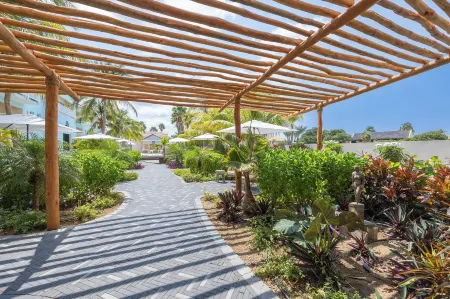 Dolphin Suites & Wellness Curacao