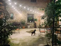 Gala Boutique Hotel Hotels near Colchis Fountain