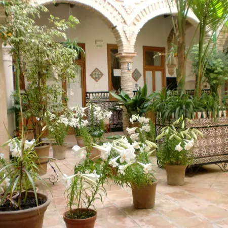 Hostal Comercio