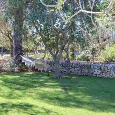 TD Trulli Tortorella with Nature Pool & Sauna Hotel Exterior