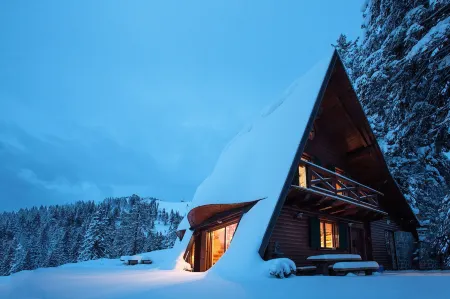 Chalet Alpinka Отели в г. Амброж-под-Крвавцем