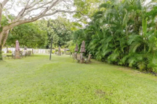Lovely Mountain View Apartment