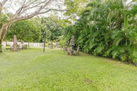 Lovely Mountain View Apartment