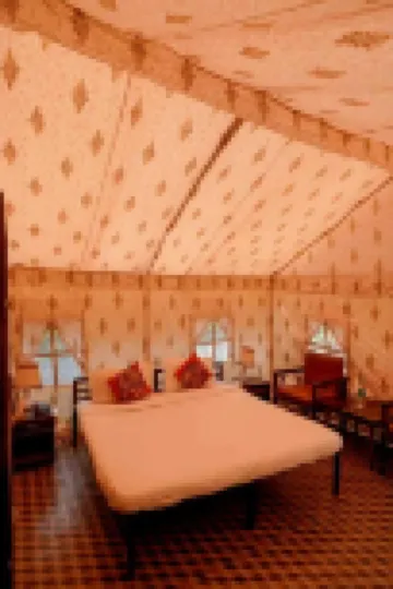 Jungle Book - A Nature Escape