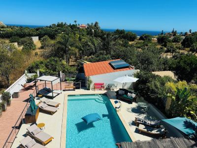 Palm View Guesthouse, Adults Only