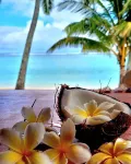 OPOA BEACH HOTEL - romantique