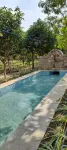 Wildcat Tadoba Resort Hotels in Chandrapur