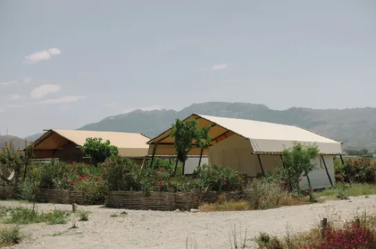 Sails on Kos Ecolux Tented Village