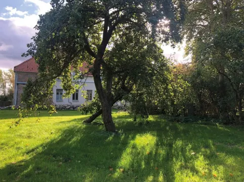 Vacation apartment 4 "Light from the south" in the Dechowshof manor house