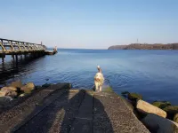 Stylish apartment in a fantastic location right on Volkspark