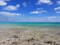 Amazing Old Bahama Bay condo perfect for you!