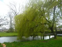 cottage has Bennetot farm. 35 km of Etretat
