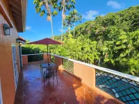 Tropical oasis, Store Bay / Pigeon Point