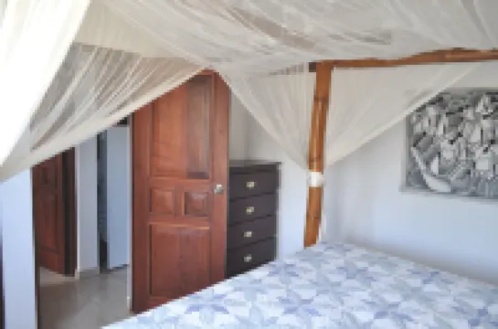 Beachfront condo with Million Dollar View