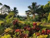 Capture the view, hear the waves -TepaeruVista