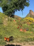 Casa Mirador de Tejeda