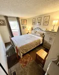 Cozy cabin. Quiet valley. Hot tub & views. Close to everything CO has to offer.