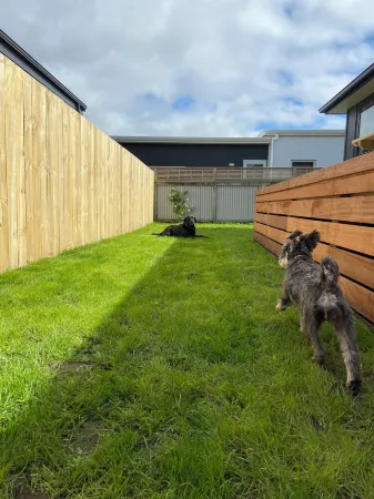 Bubbles Bach-dog friendly, close to beach & shops! Отели рядом с достопримечательностью «Tasman Holiday Parks - Waihi Beach»