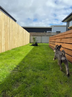 Bubbles Bach-dog friendly, close to beach & shops!