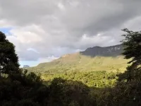 Finca Makiesse - The Cottage - Chalet in Vale do Capão - 1 suite Hotels in Palmeiras