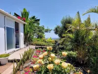 Cliff House