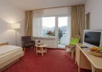 Hotel & Ferienappartements Edelweiss Hotel a Willingen