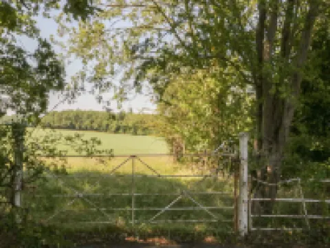 マイス エルウィ セント・アサフのホテル
